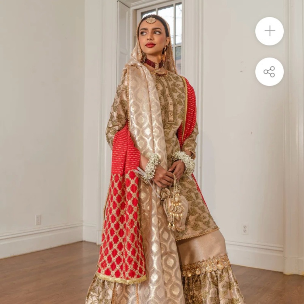 Stunning Ayla Noor dress